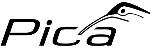 Pica
